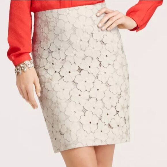 Ann Taylor Petite Floral Lace Embroidered Lined Skirt Taupe Career Spring 8 P - Picture 7 of 10